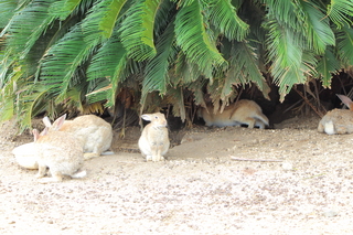 20140802_009.JPG